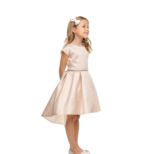 Shimmer Jacquard Hi-Low Cocktail Dress