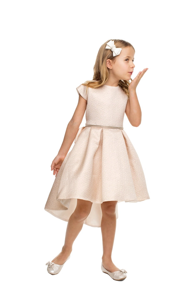 Shimmer Jacquard Hi-Low Cocktail Dress