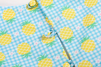 Blue Gingham Pineapple Print Baby Ruffle Dress
