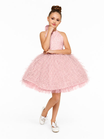 Princess Feather Party Dress