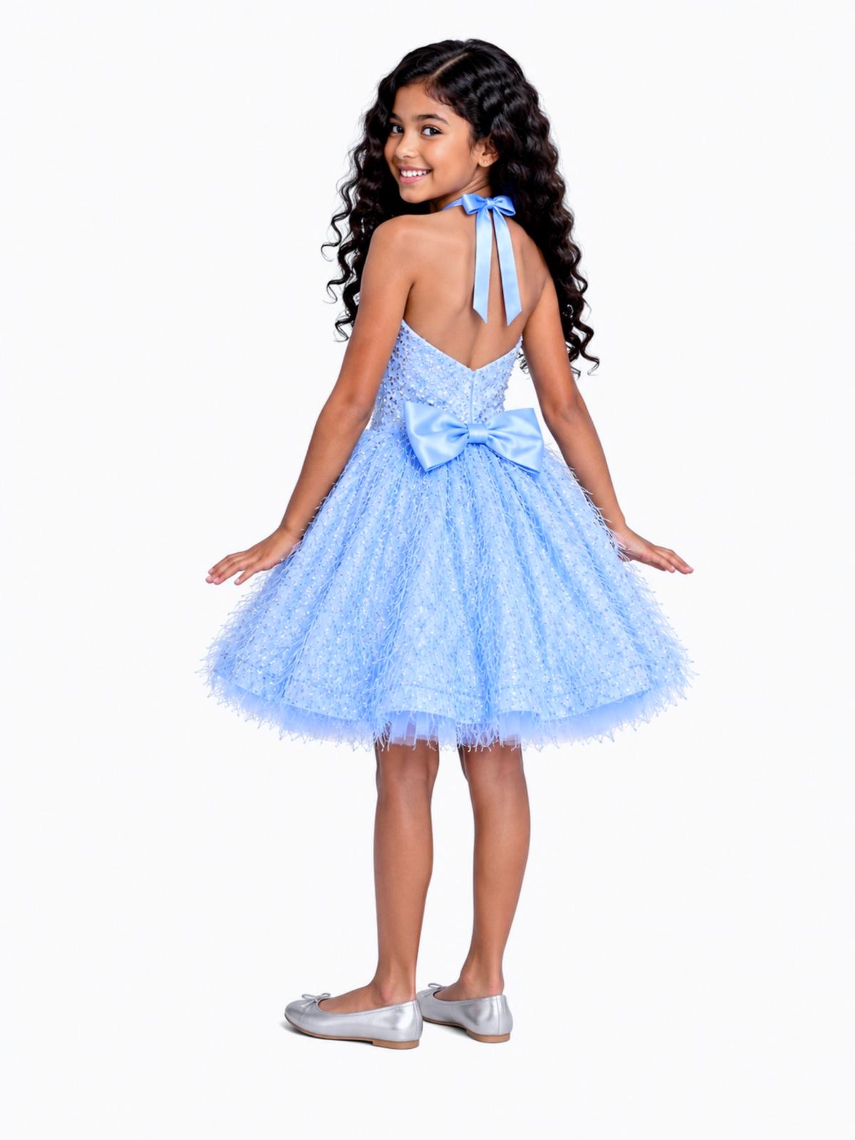 Princess Feather Party Dress