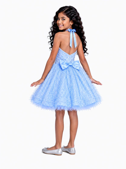 Princess Feather Party Dress