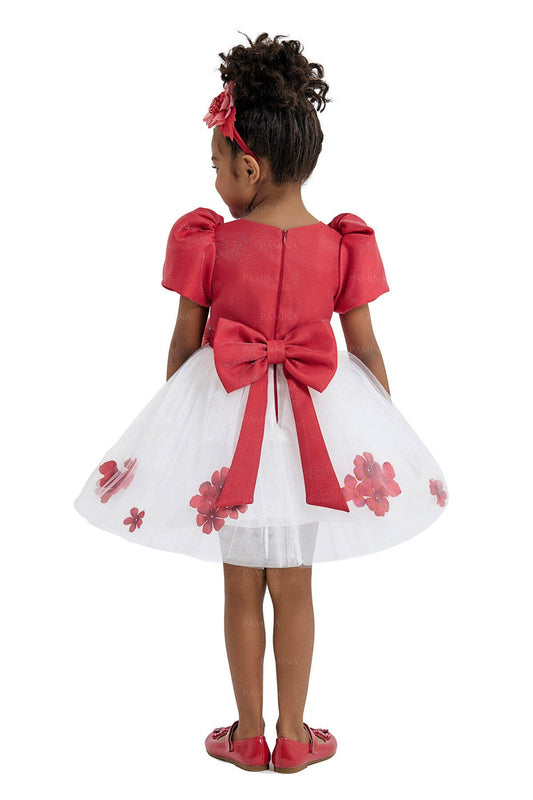 Special occasion dress